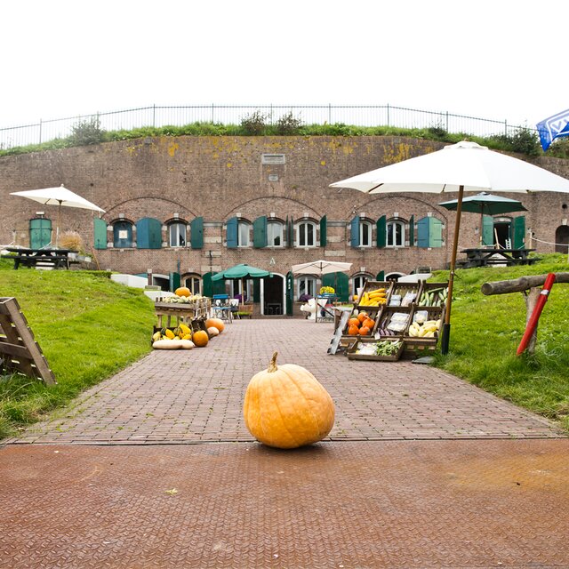 Zelf verbouwen van groente/ kruiden