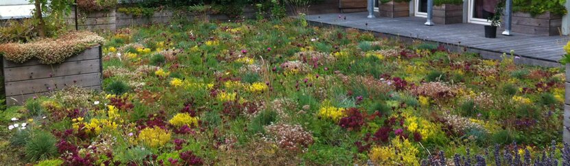 Groen dak met verschillende groentinten