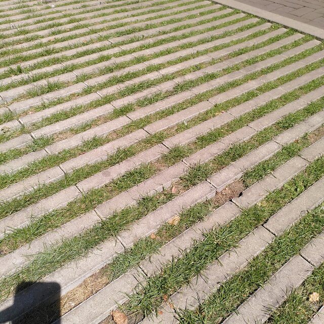 Groene parkeerplaats