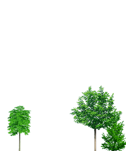 podium